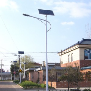 8M 60W Separate Solar Street Light