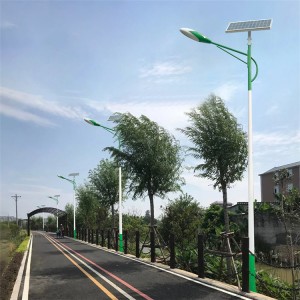 6M 30W Solar Street Light Outdoor Road Lamp